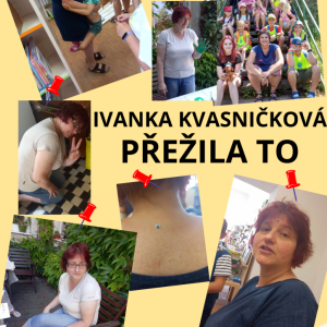 Přidat nadpis.png