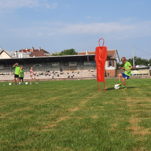 20230818_090137.jpg