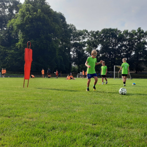 20230818_091929.jpg