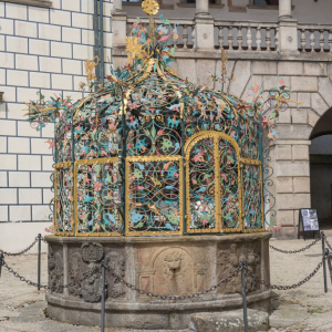 DSC_9478.jpg