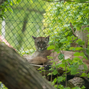 DSC_9570.jpg