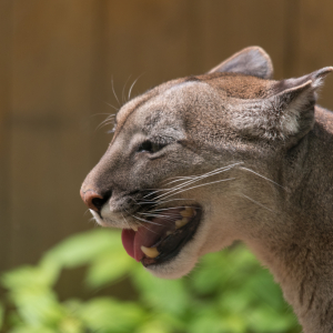 DSC_9625.jpg