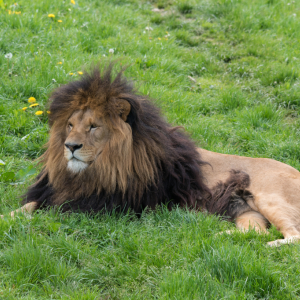 DSC_9709.jpg