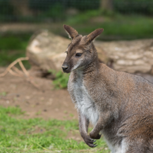 DSC_9755.jpg