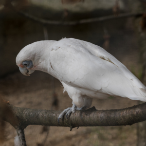DSC_9774.jpg