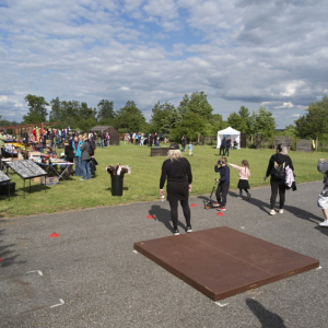 IMG_6649.jpg